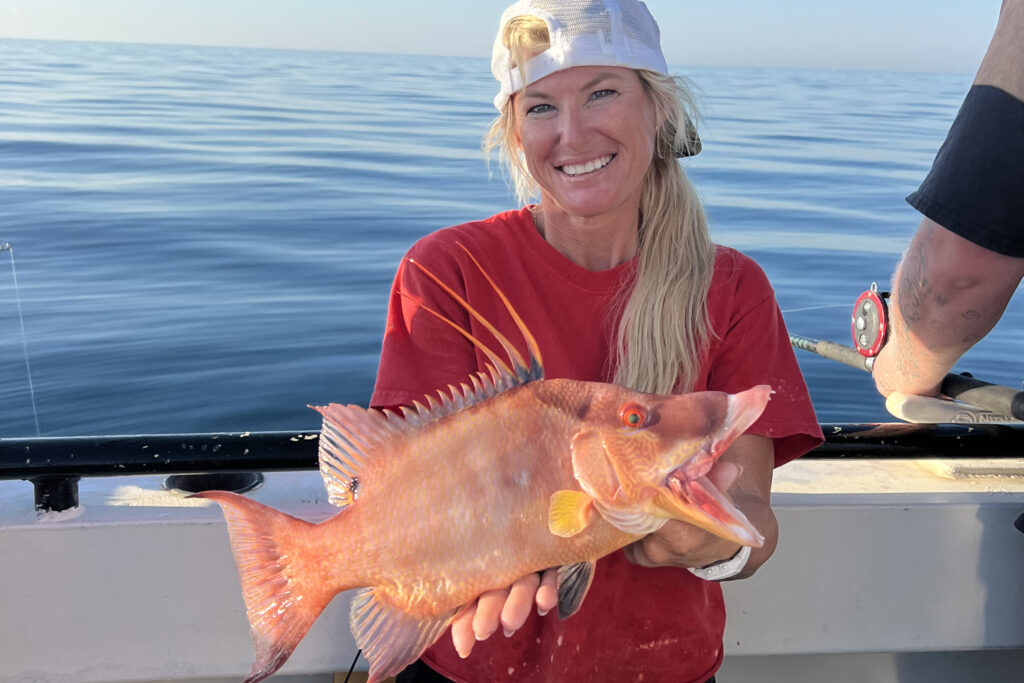 OFFSHORE-hogfish