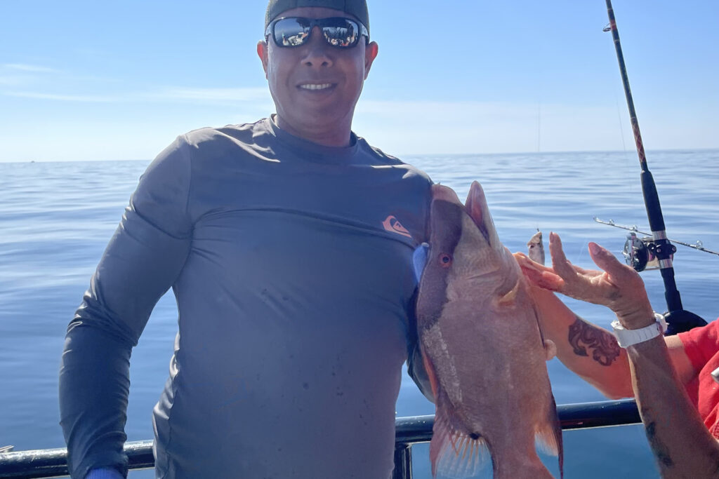OFFSHORE-hogfish (3)
