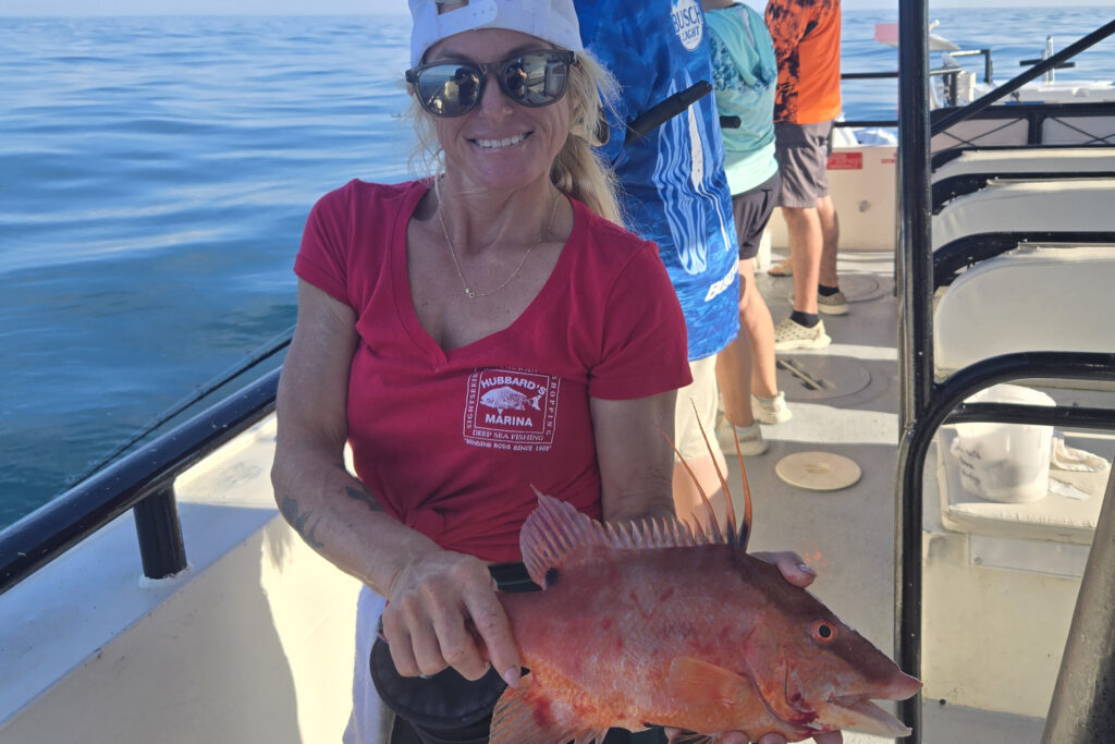 OFFSHORE-hogfish (5)