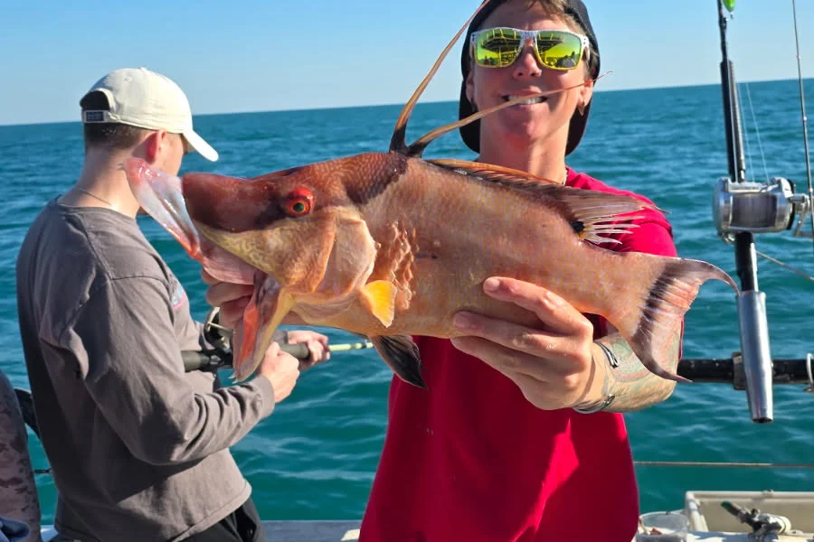 OFFSHORE-hogfish (7)