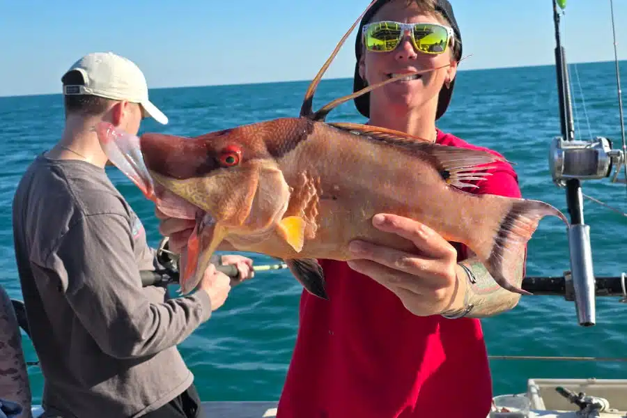 OFFSHORE-hogfish (7)