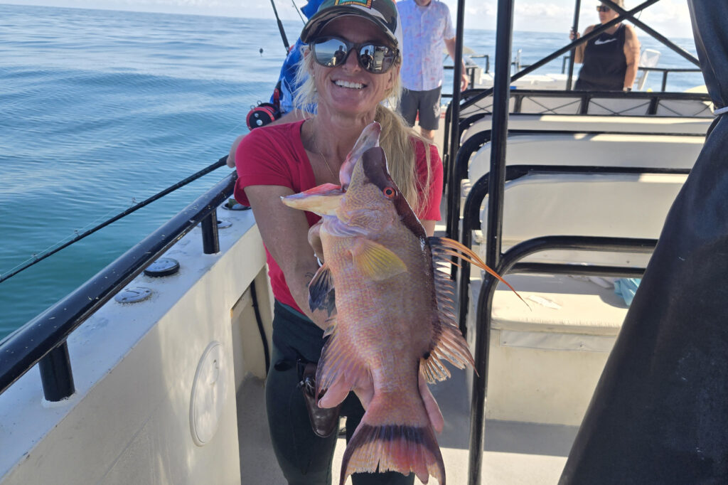 OFFSHORE-hogfish