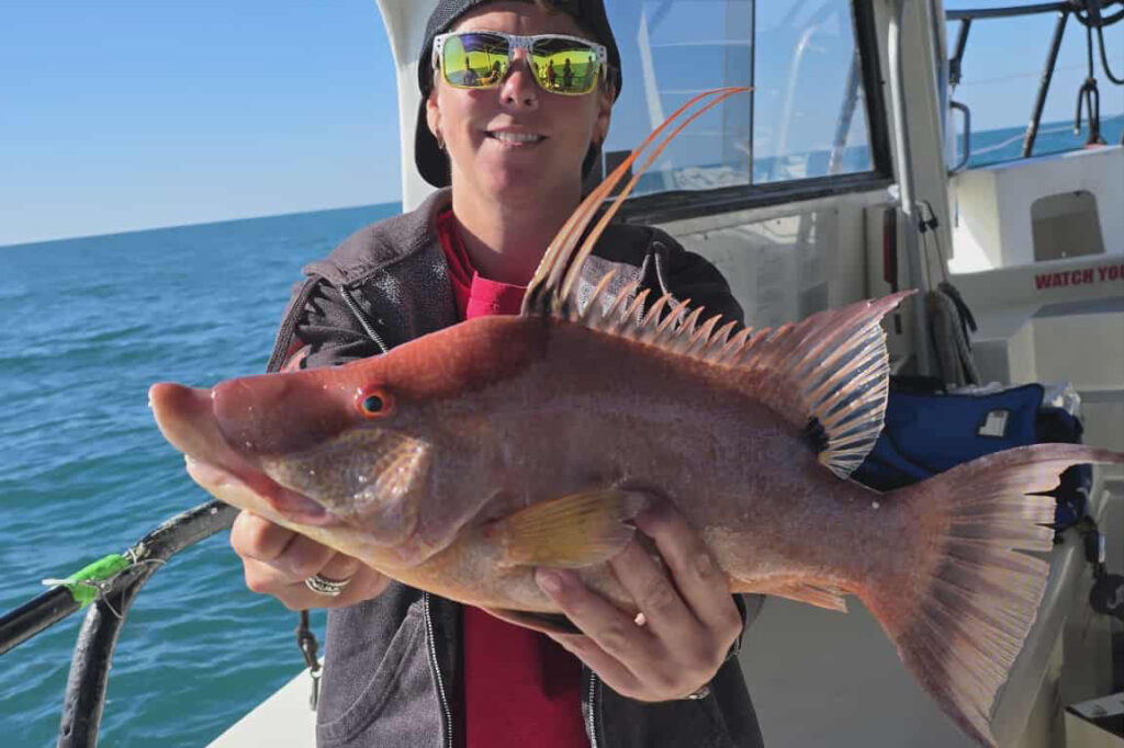 OFFSHORE-hogfish-best (1)