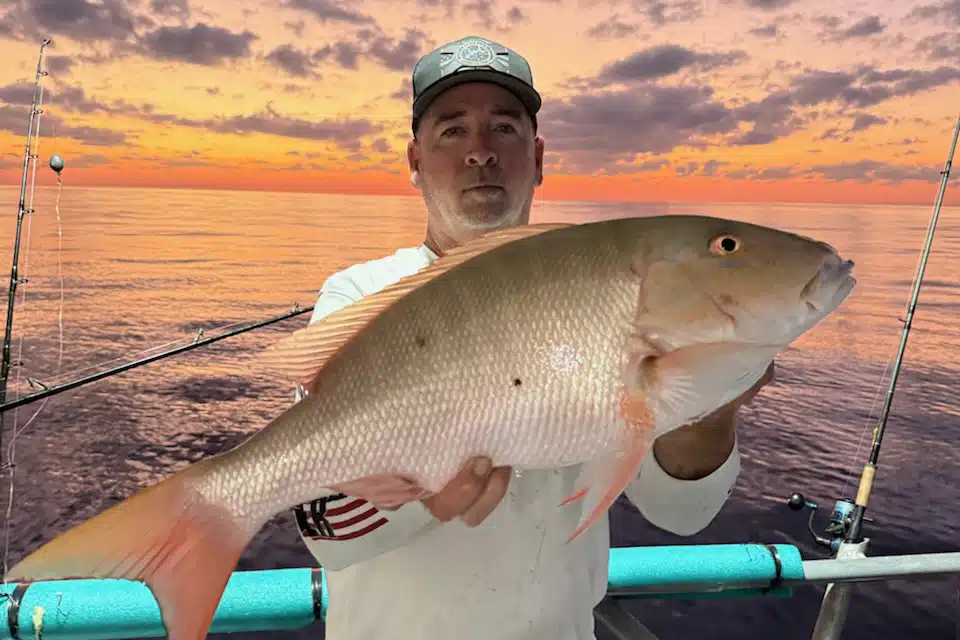 OFFSHORE-mutton-best