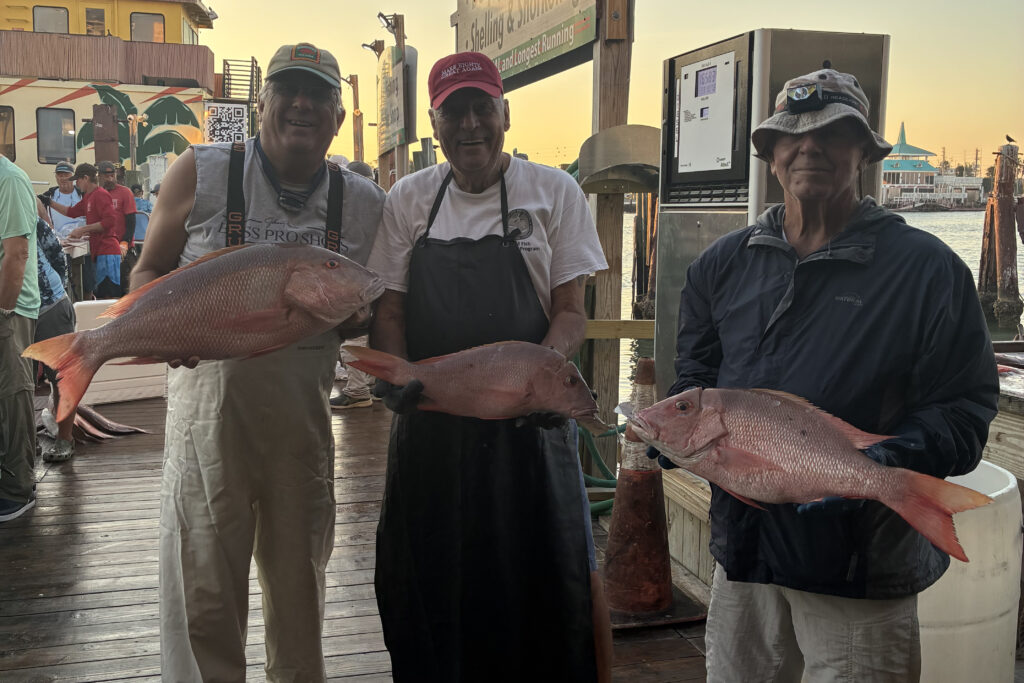 OFFSHORE-mutton-pile (1)