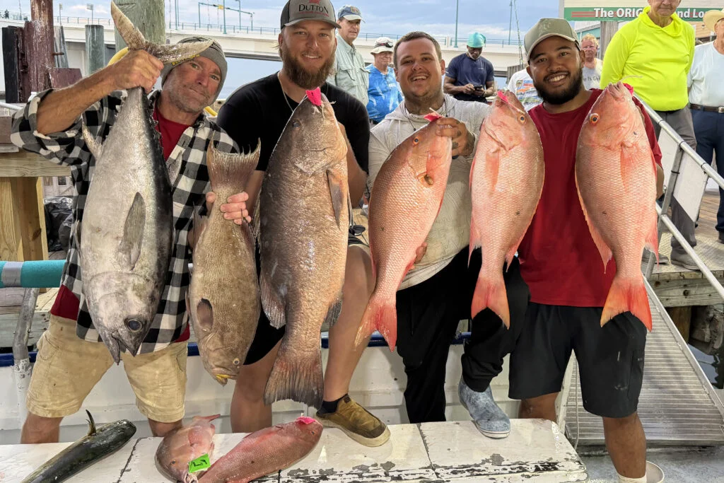 OFFSHORE-pile-cubera-best