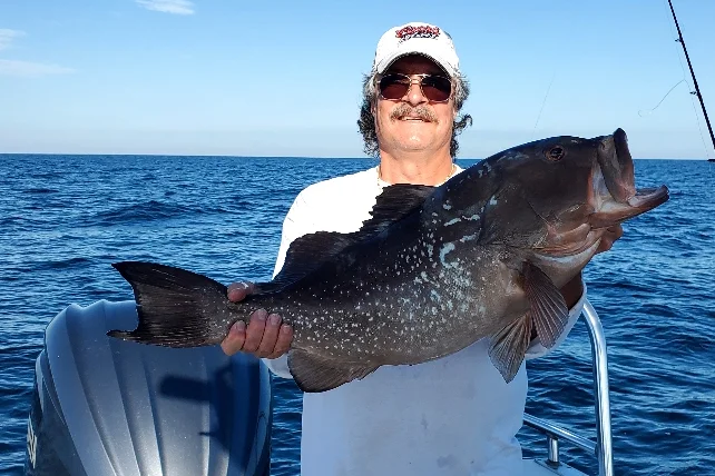 OFFSHORE-redgrouper (1)