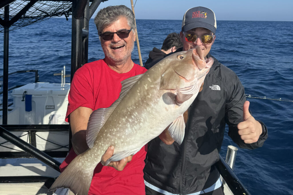 OFFSHORE-redgrouper