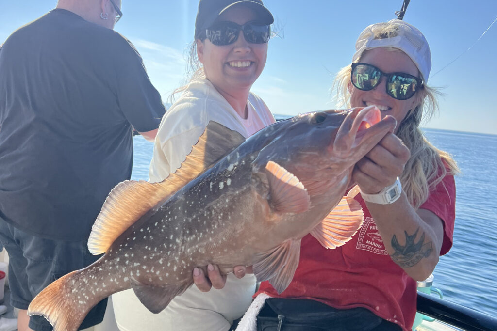 OFFSHORE-redgrouper (4)