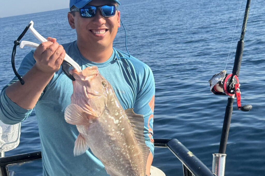 OFFSHORE-redgrouper (5)