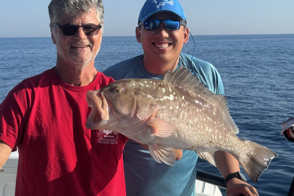 OFFSHORE-redgrouper (6)