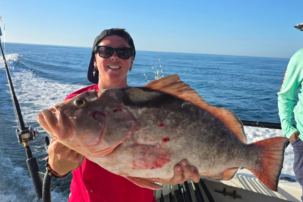 OFFSHORE-redgrouper (7)