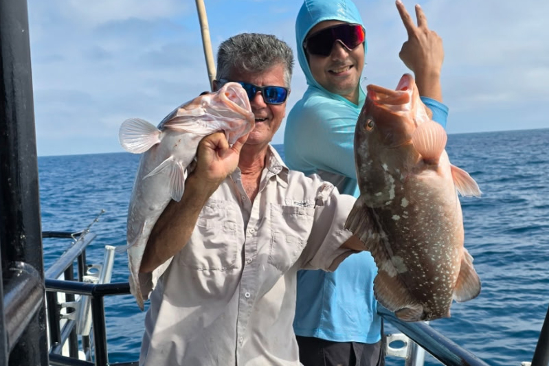 OFFSHORE-redgrouper