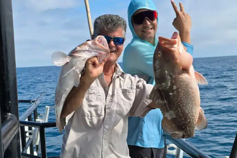 OFFSHORE-redgrouper