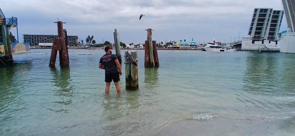 Captain Dylan Hubbard successfully Rescues entangled Seabird showing that the REEL friends of the pelicans and all birds, will always be fisherman!