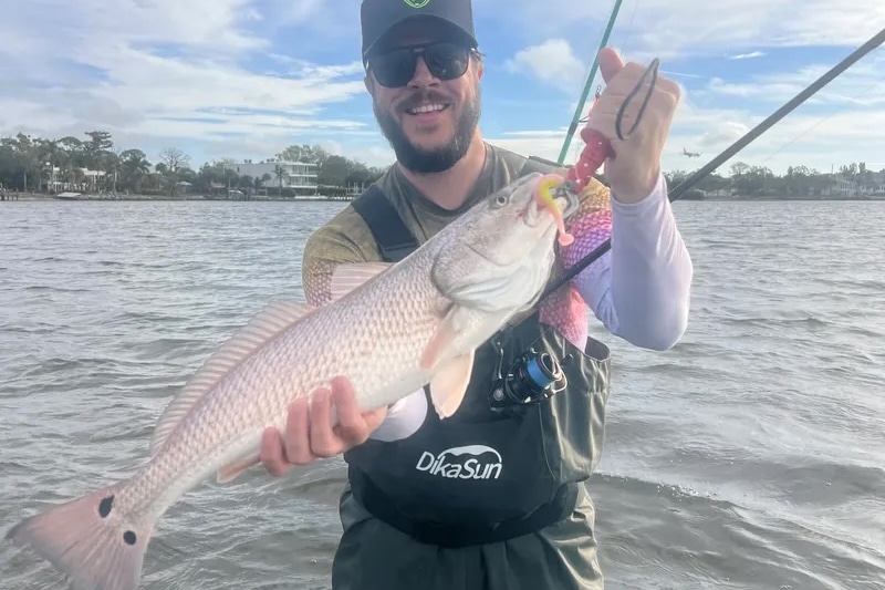 INSHORE-redfish