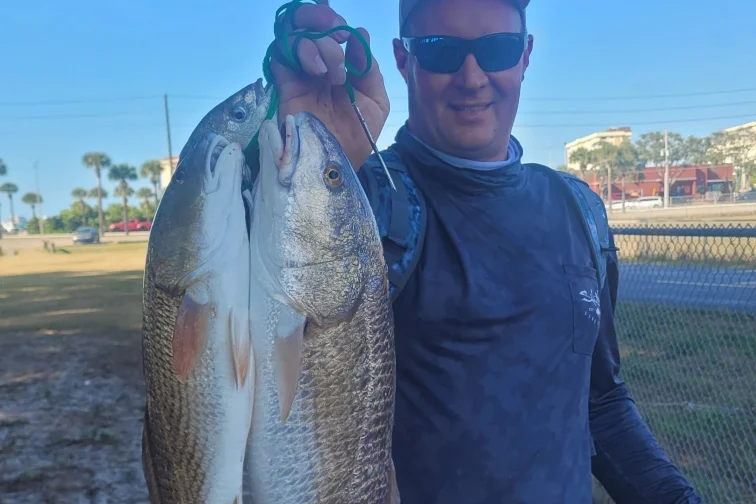 INSHORE-redfish