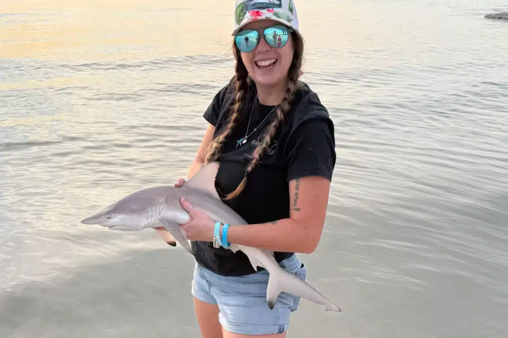 INSHORE-shark