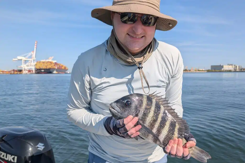 INSHORE-sheepshead