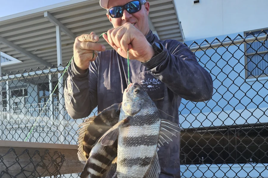 INSHORE-sheepshead