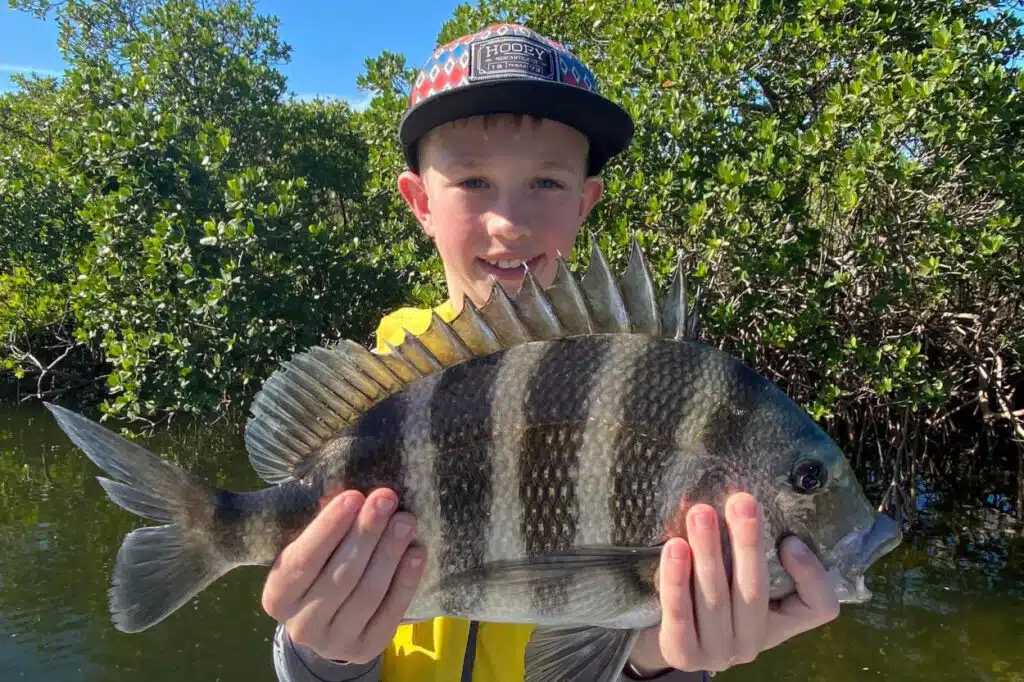 INSHORE-sheepshead2