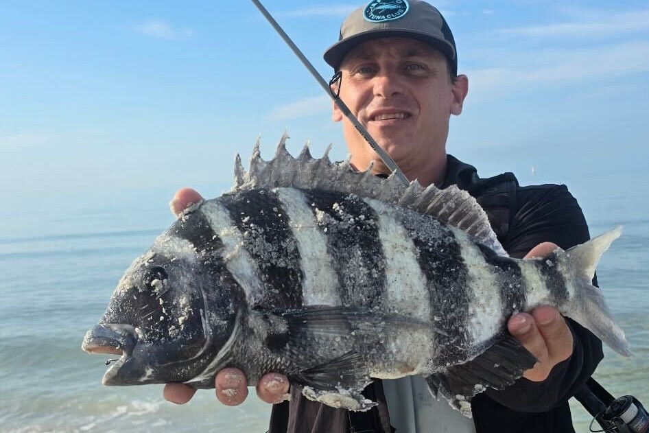 INSHORE-sheepshead3