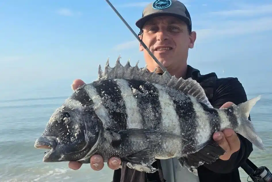 INSHORE-sheepshead3