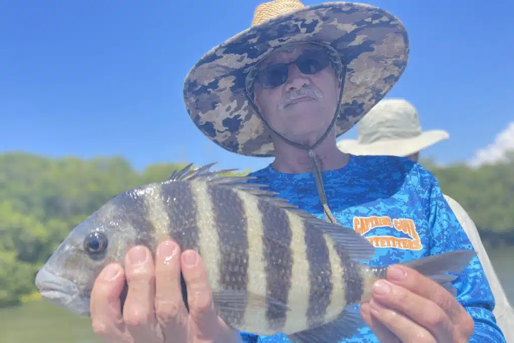 INSHORE-sheepshead3