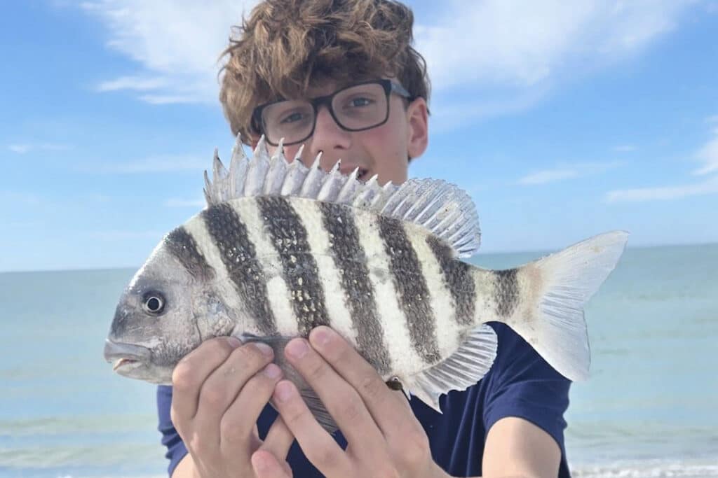 INSHORE-sheepshead4