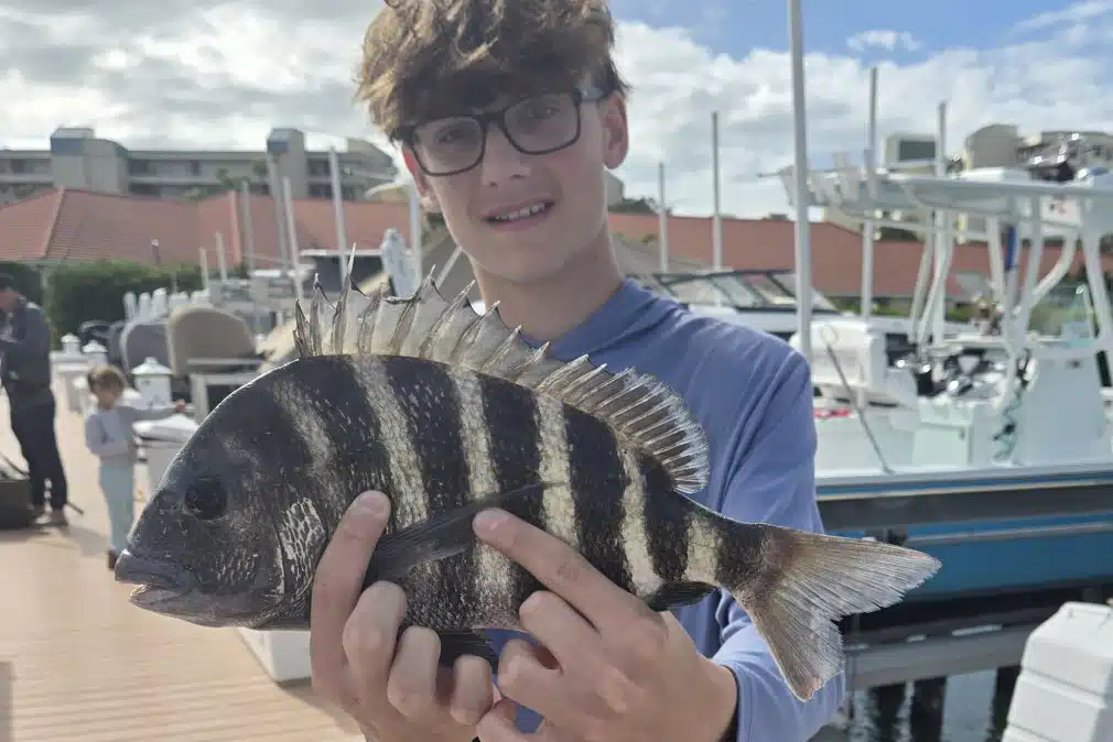 INSHORE-sheepshead8