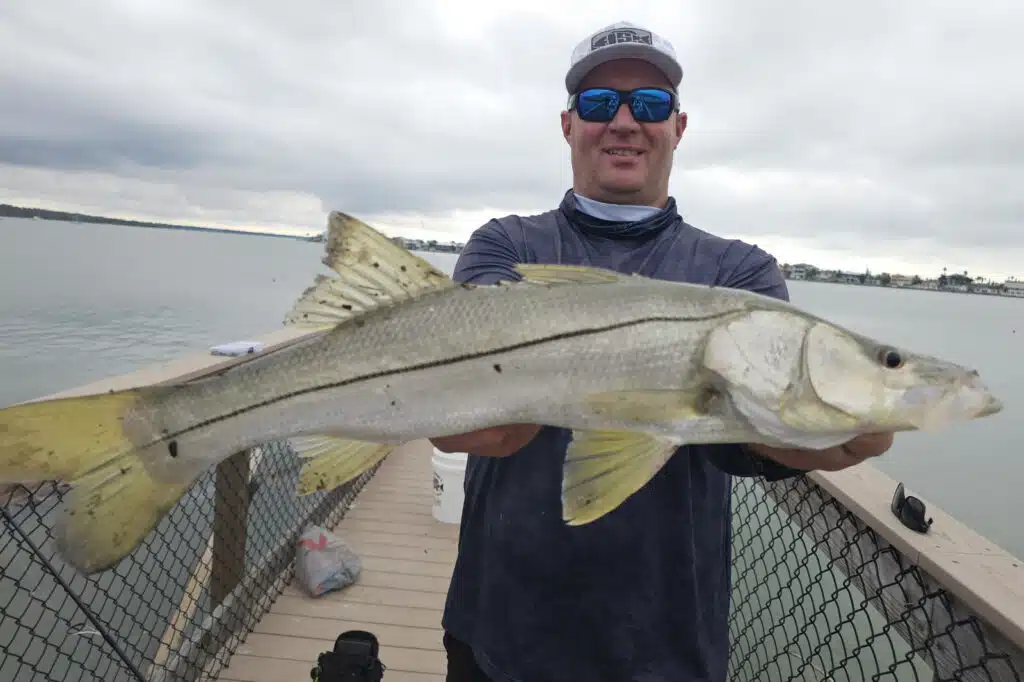 INSHORE-snook