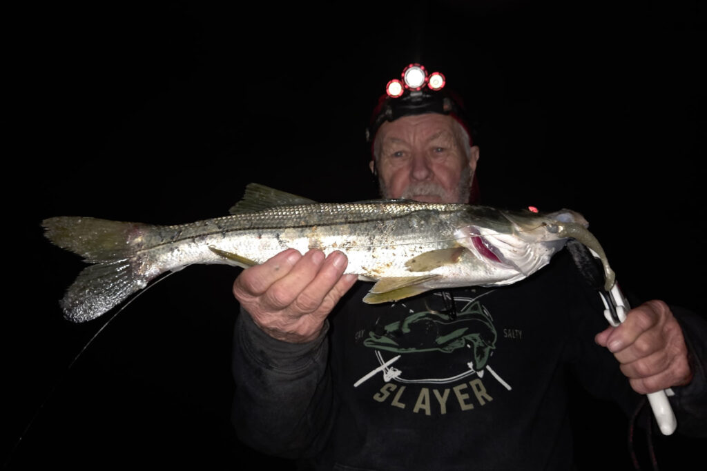 INSHORE-snook