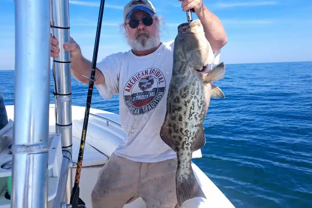 NEARSHORE-gaggrouper