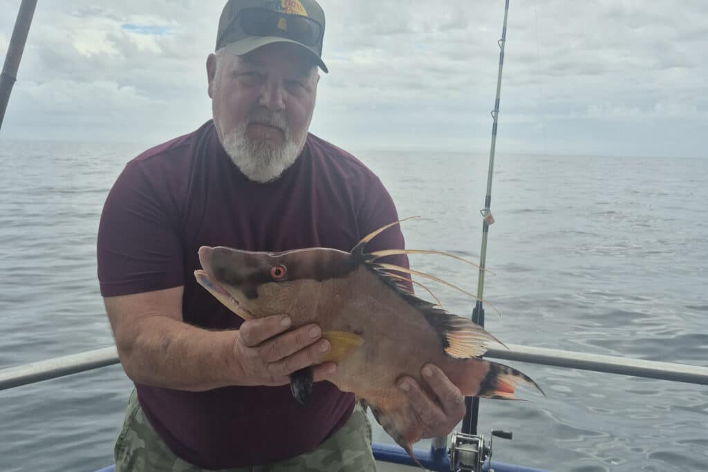 NEARSHORE-hogfish (1)