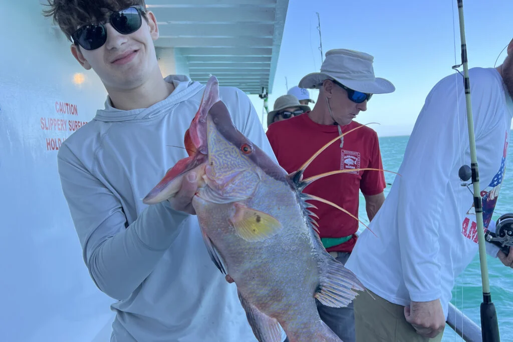 NEARSHORE-hogfish (1)