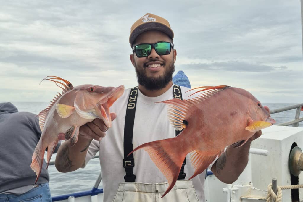 NEARSHORE-hogfish (2)