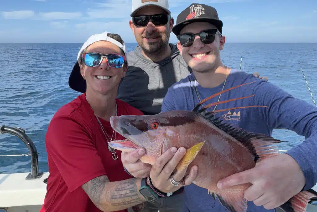 NEARSHORE-hogfish (2)