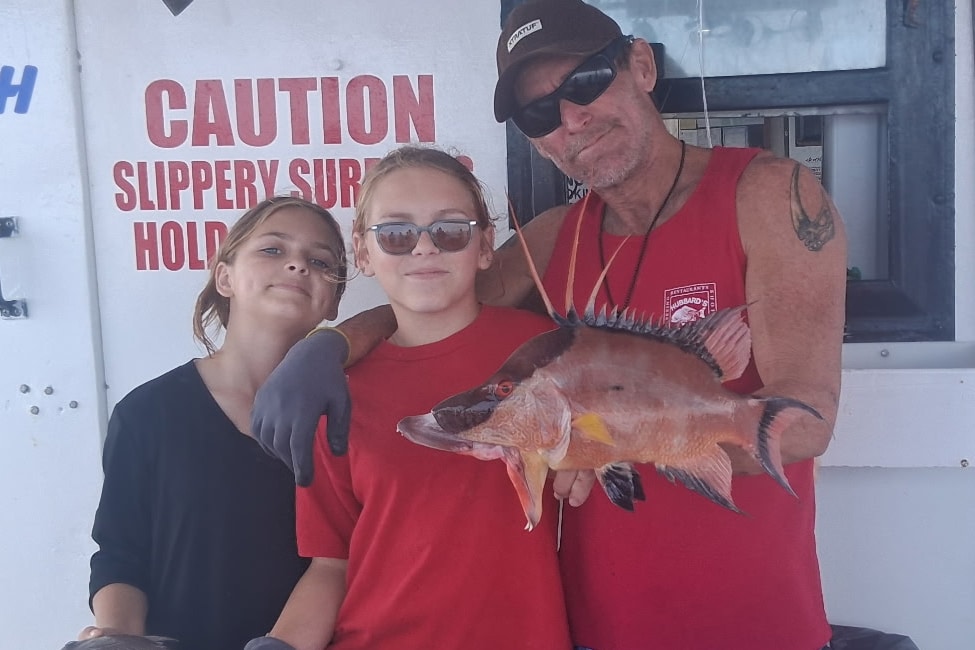 NEARSHORE-hogfish (3)