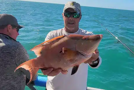 NEARSHORE-hogfish (5)