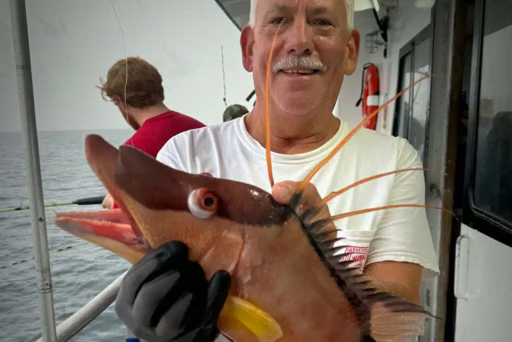 NEARSHORE-hogfish