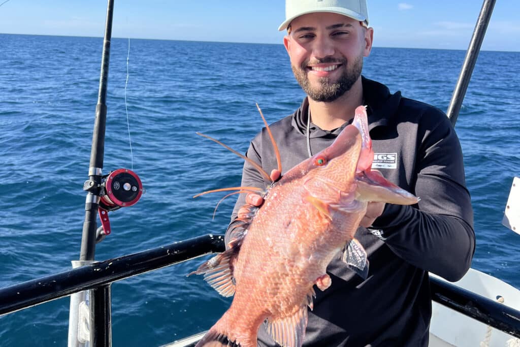 OFFSHORE-hogfish