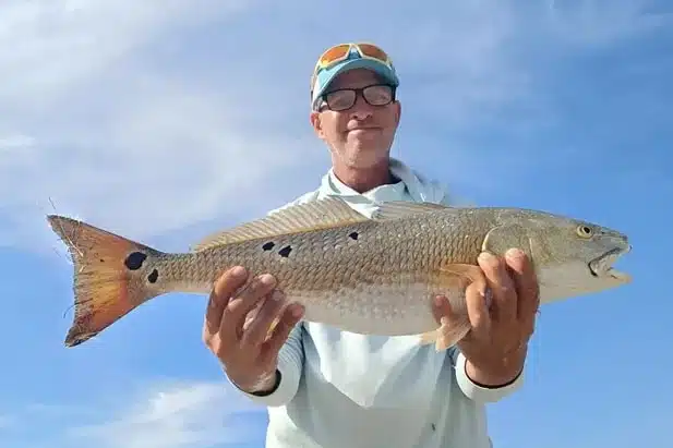 INSHORE-redfish