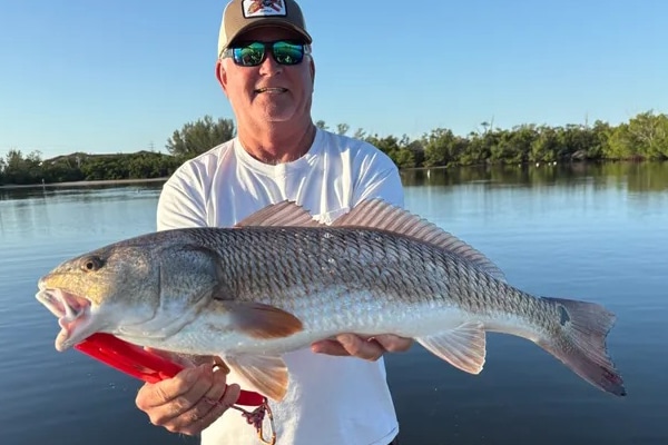 INSHORE-redfish2