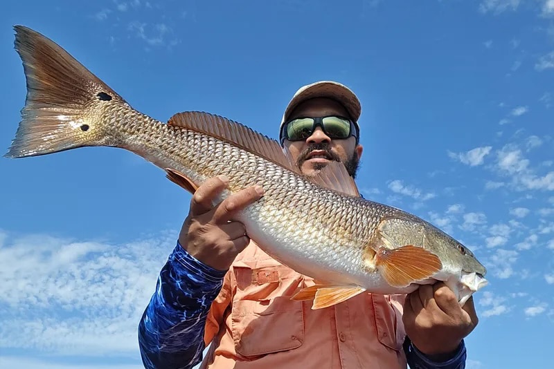 INSHORE-redfish6