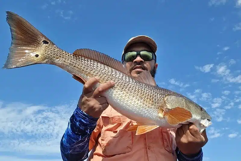 INSHORE-redfish6