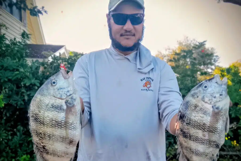 INSHORE-sheepshead (1)