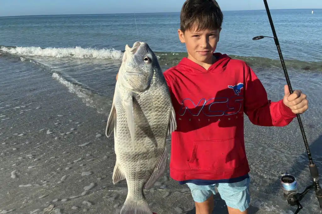 INSHORE-sheepshead