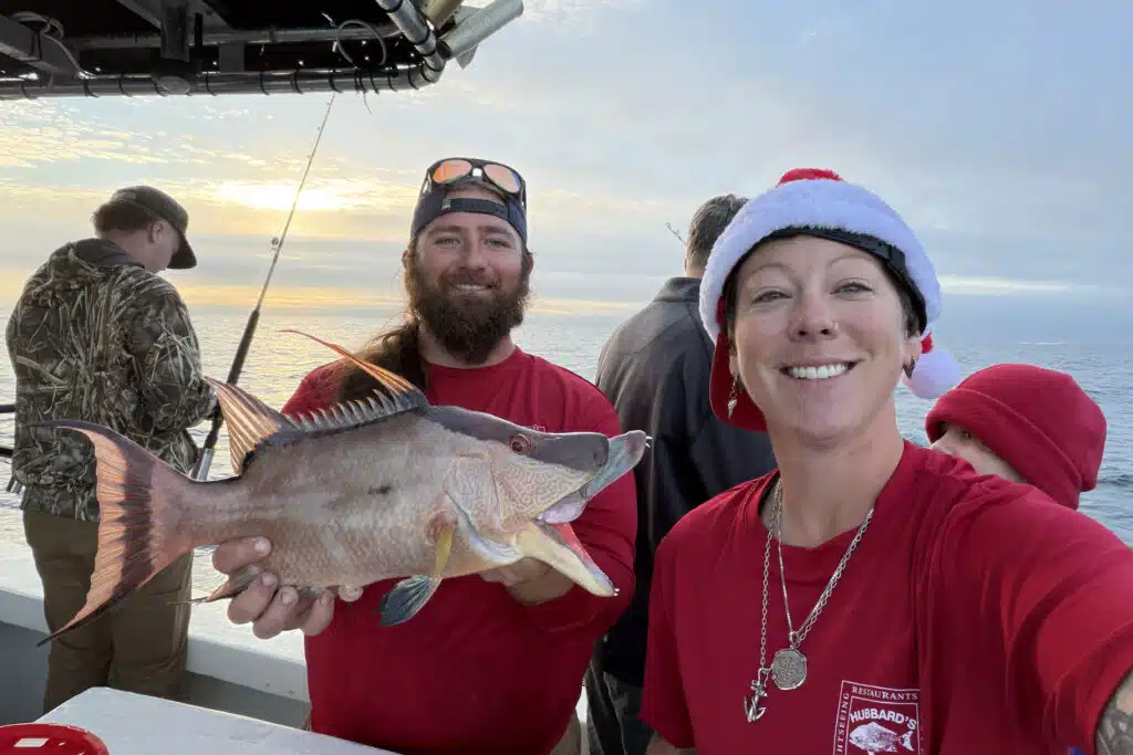 NEARSHORE-hogfish (1)