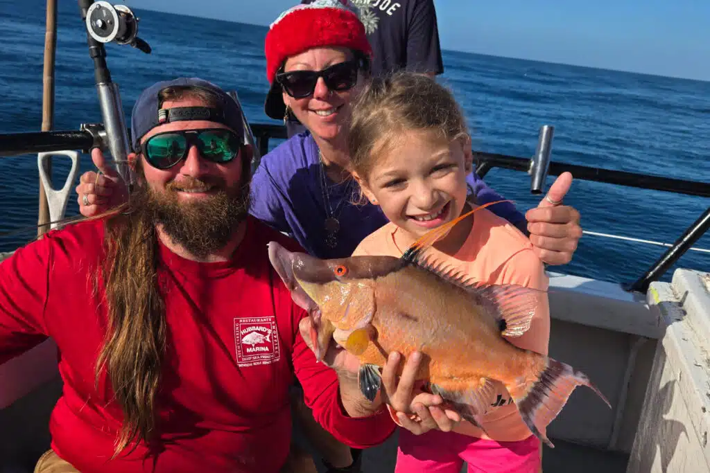 NEARSHORE-hogfish (11)