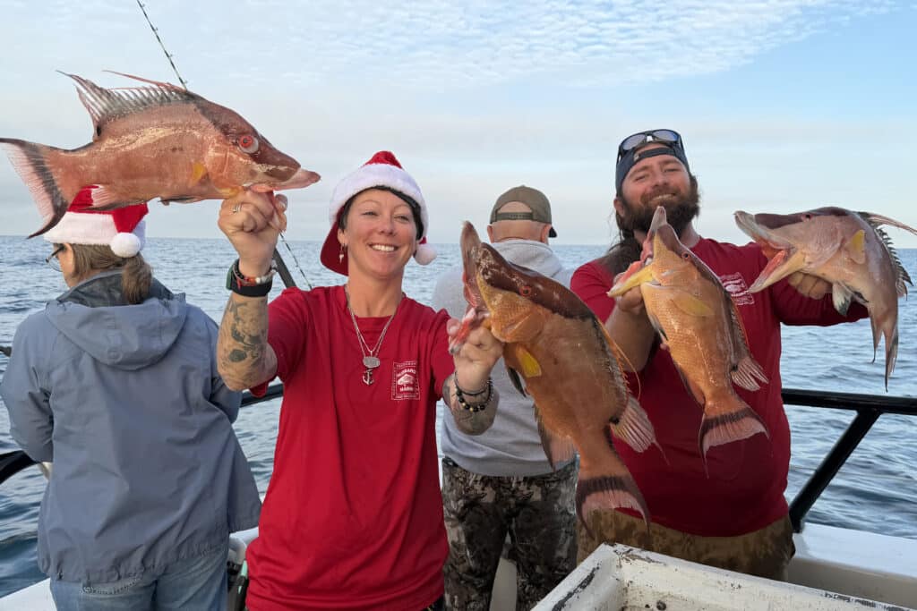 NEARSHORE-hogfish (4)